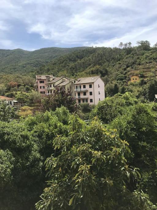 Апартаменти La Casa Novella, A 450 Metri Dal Mare Монелья Екстер'єр фото